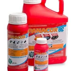 Panacur Bs 5L