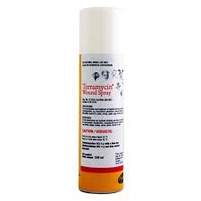 Terramycin Aerosol 4G 150ml